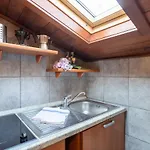 Blue Attic Historical Center