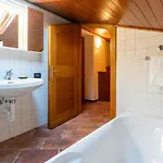 Blue Attic Historical Center Appartement *